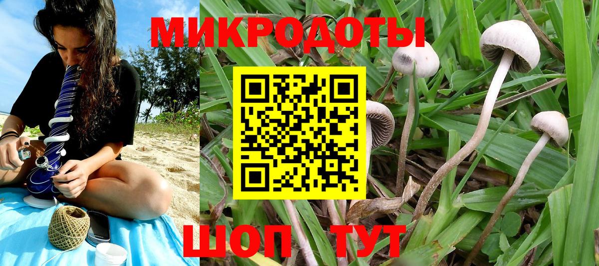 Галлюциногенные грибы Magic Shrooms Зеленогорск