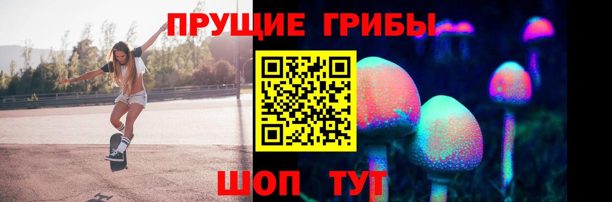 Псилоцибиновые грибы GOLDEN TEACHER  Вход с VPN  Псилоцибиновые грибы Psilocybine cubensis  Зеленогорск 